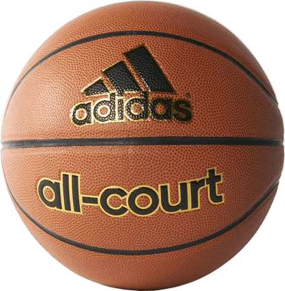 Изображение All-Court Basketball